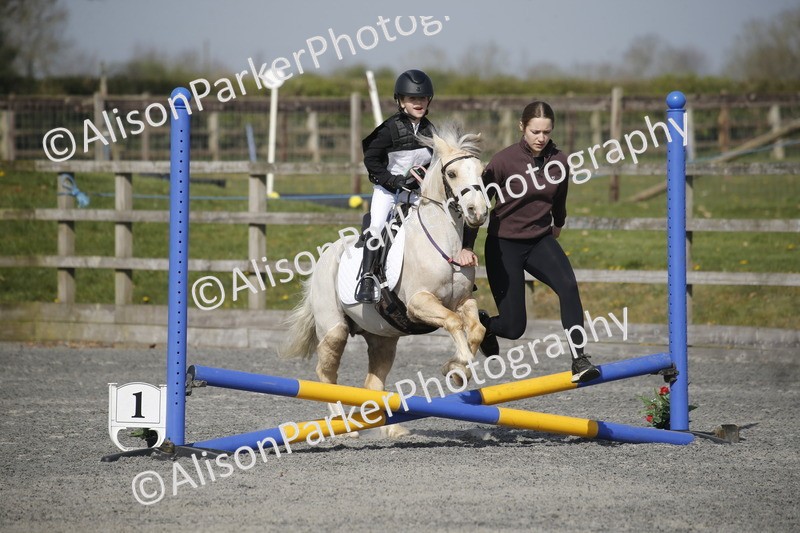 20250412-0234 - Show Jumping