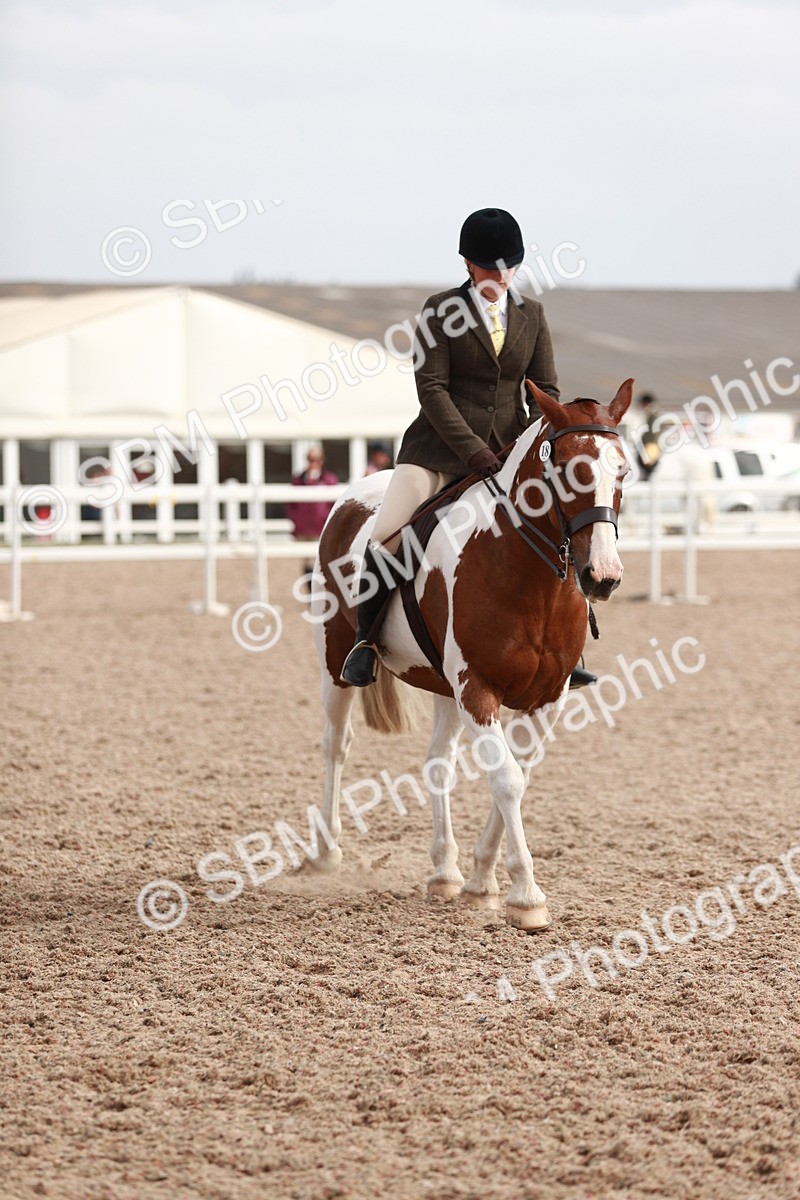 SBM_16794 - Class 214 Ridden Cob