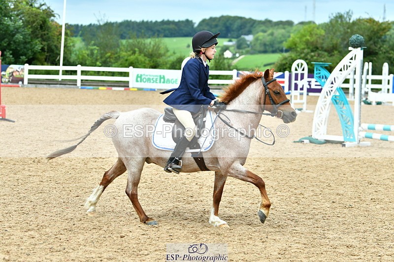 230804A-120000-02423 - Showjumping Competition