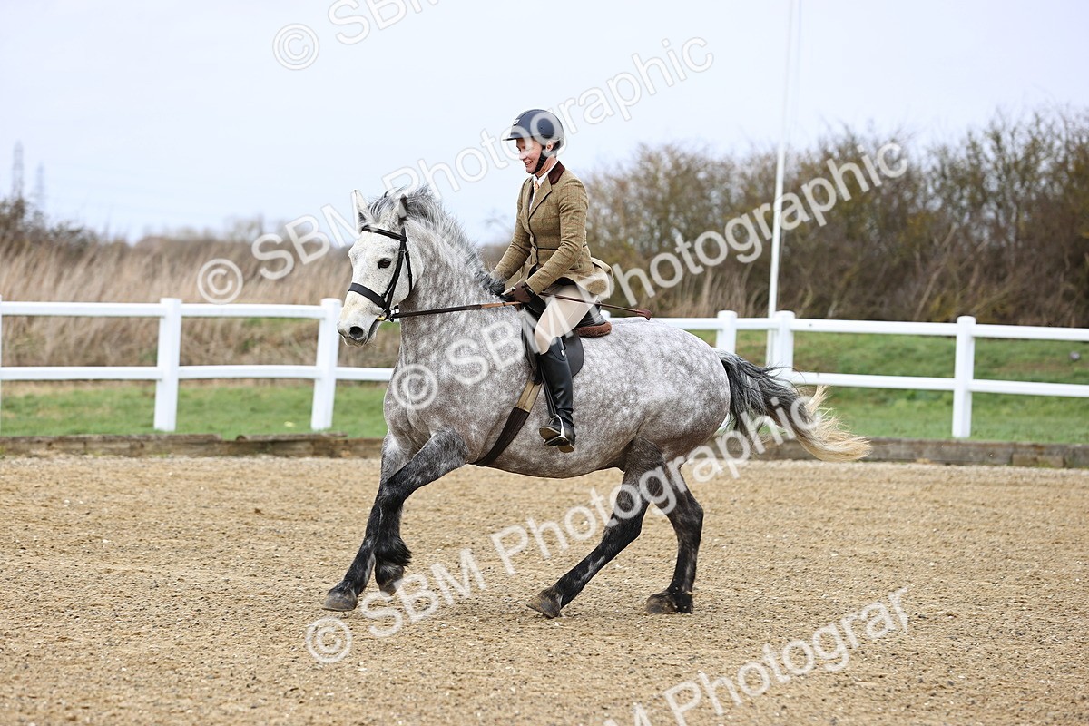 SBM_006947 - Class 29 - 30 - M&M Pure Novice Small-Large Breeds