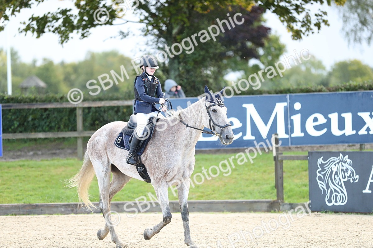 SBM_37246 - J20 - Junior Horse 50cm Championship