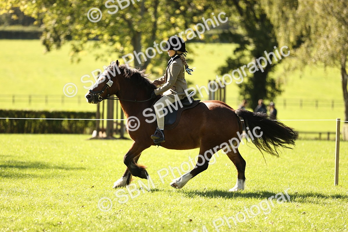 SBM_19160 - S3 - TSR Ridden Pony Showing