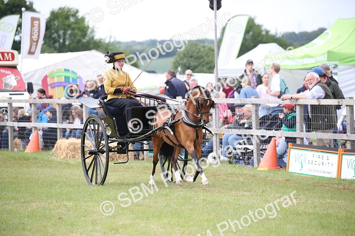 SBM_05876 - Class 12-15 - HOYS Private Driving