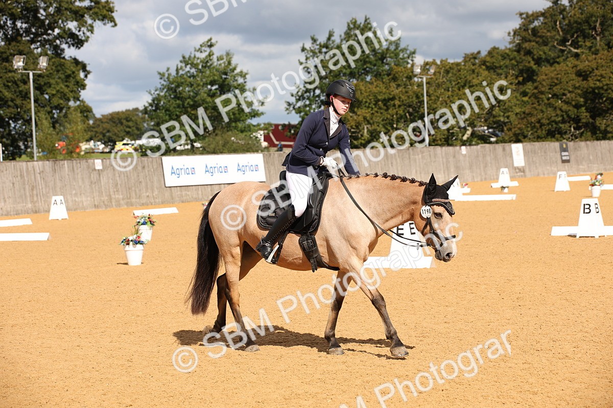 SBM_04248 - D2 Small Tour Championship Intro C