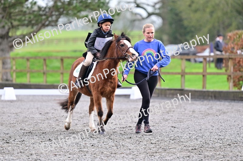 20260125-0967 - Class 9a - Walk Trot Assisted