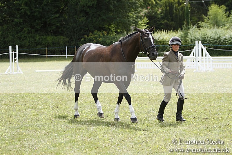 BVR160717-1855 - Ring 3 BVRC Show 16/07/17