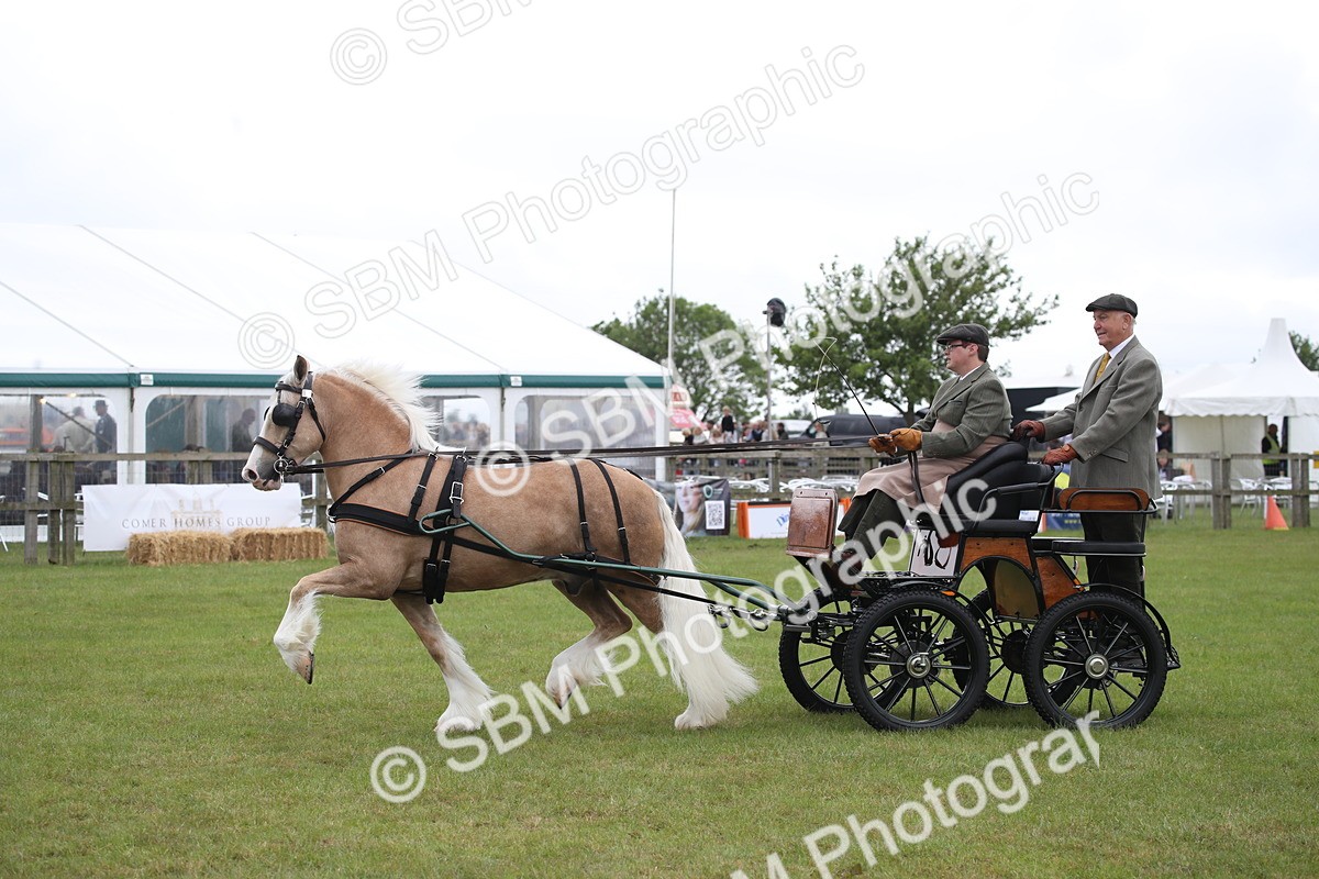 SBM_05642 - Class 12-15 - HOYS Private Driving