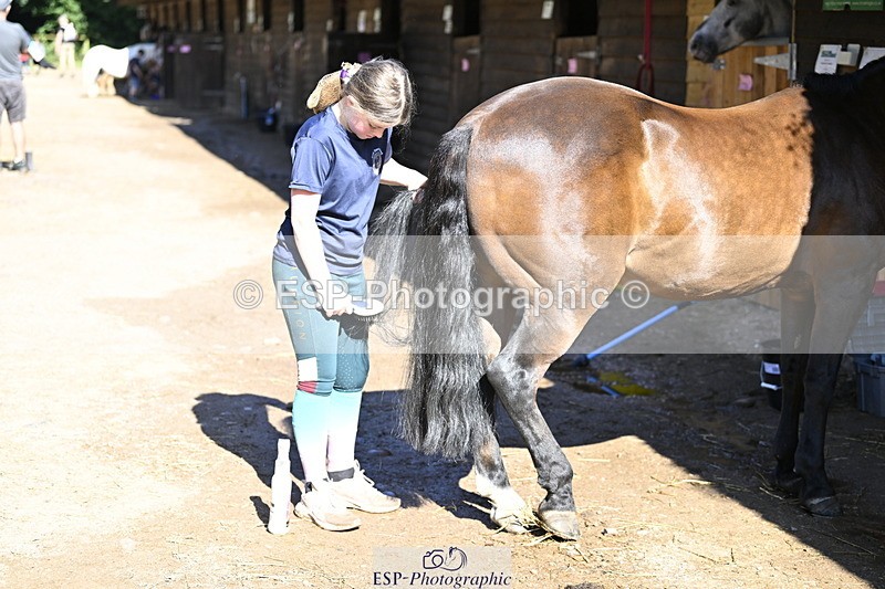 240728B-092259-00001 - Sunday Stable Shots and Fancy Dress