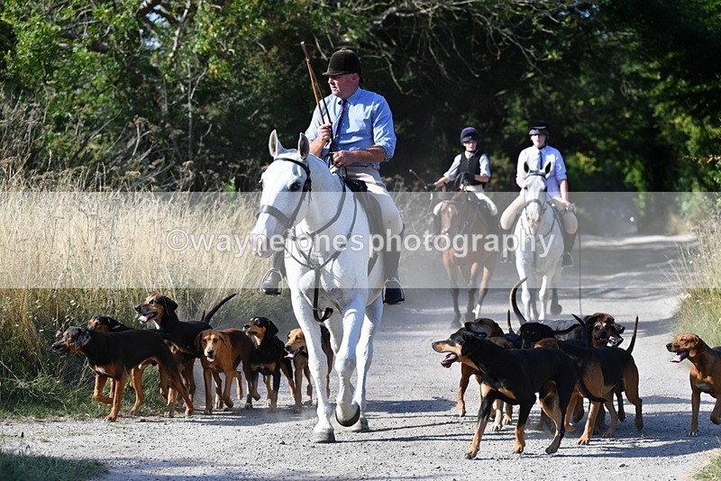 WJ5_4813 - Walk out with the hounds
