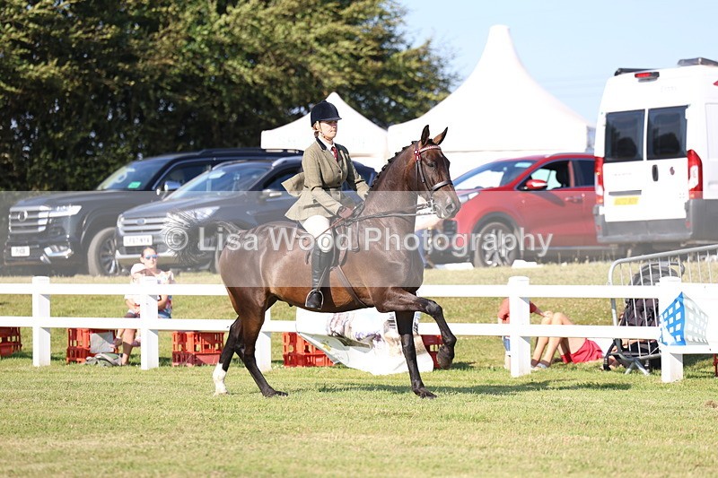 3E7A5571 - Class 2: Rising Star Large Hack/Riding Horse