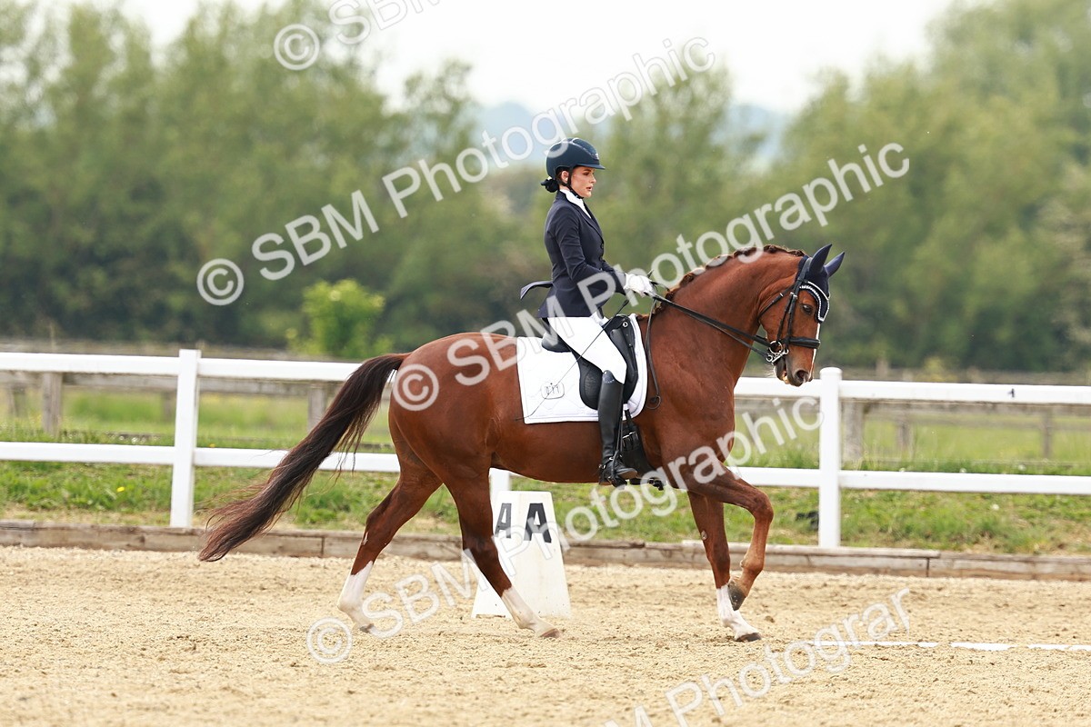 SBM_002771 - Class 12 - Medium 4