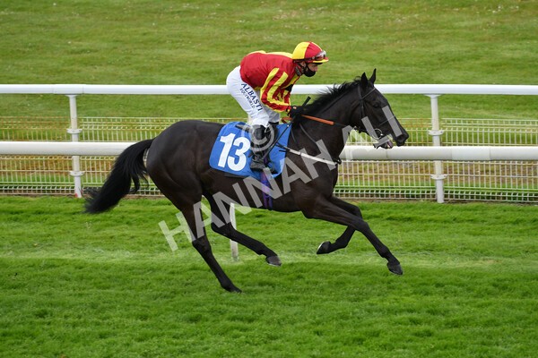 yr22052021r3-16 - Race 3 3.15pm William Hill Extra Place Races Stakes