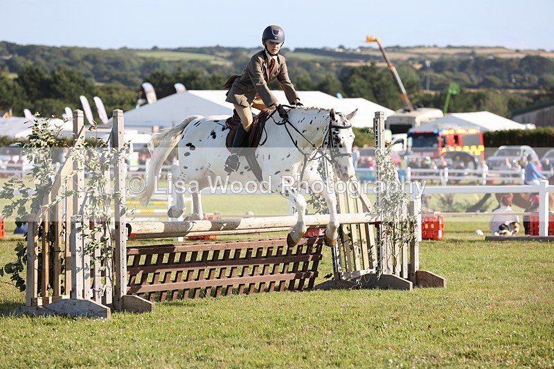 JPP_3167 - Class 21: Working Hunter 80cm