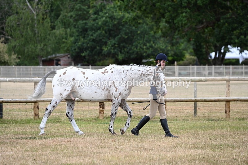 WJ6_4132 - Class 10 Coloured In-hand