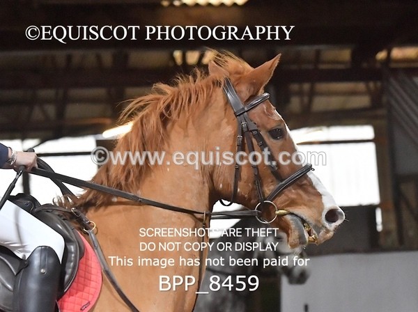 BPP_8459 - CLASS 6 70CM GRAND PRIX