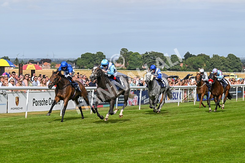 140824-Race 5-Havana Blue-6676 - Race 5