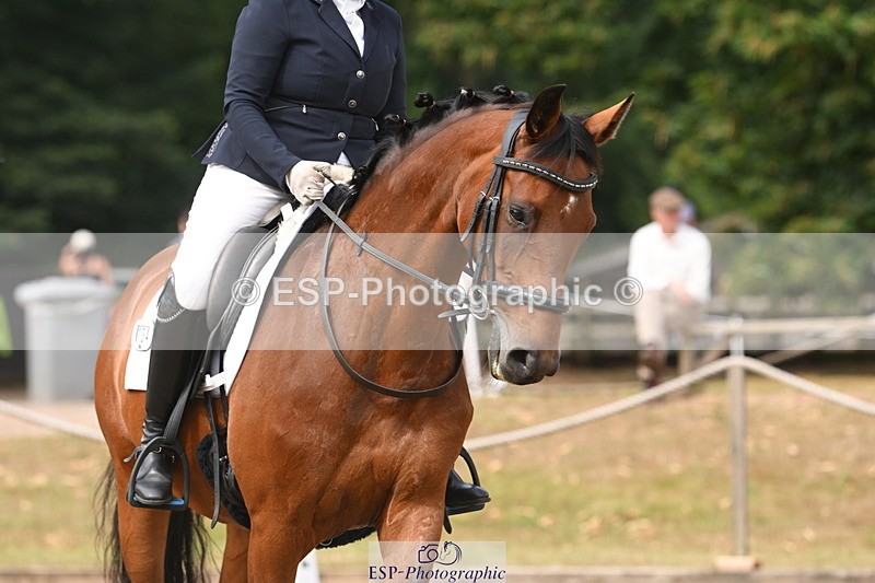 250719A-104937-04042 - 134-Carly.Moore-Taylors.Park.De'.Debutant