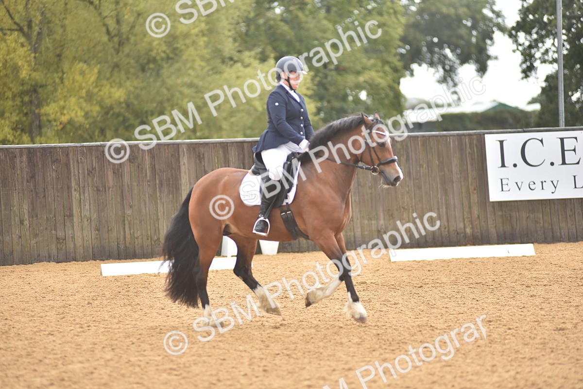 SBM_02087 - D7 - Small Tour Championship Prelim 2
