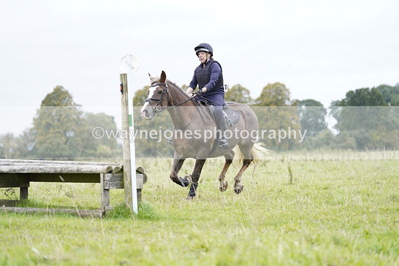 _DSC6708 - Time at Photographer 10:13 to 10:42