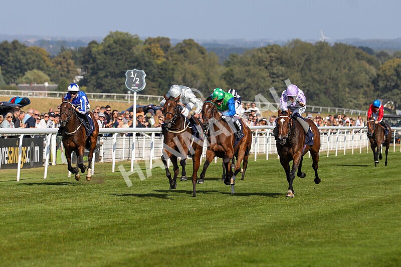 310824-Race 5-Bassadanza-1799 - Race 5