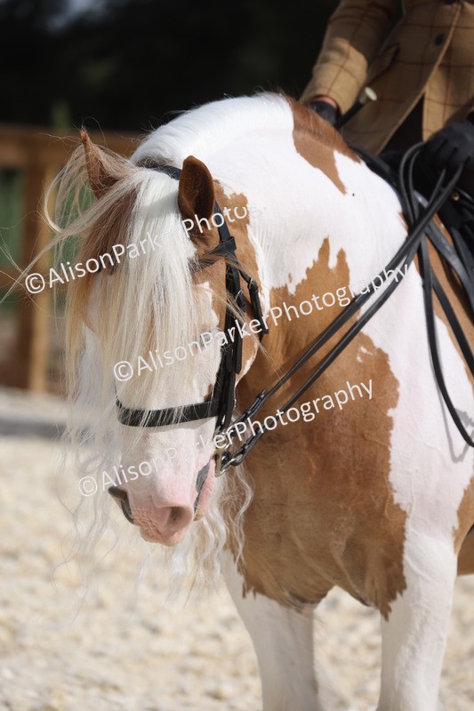 20260802-0482 - Class 6 - Veteran Ridden