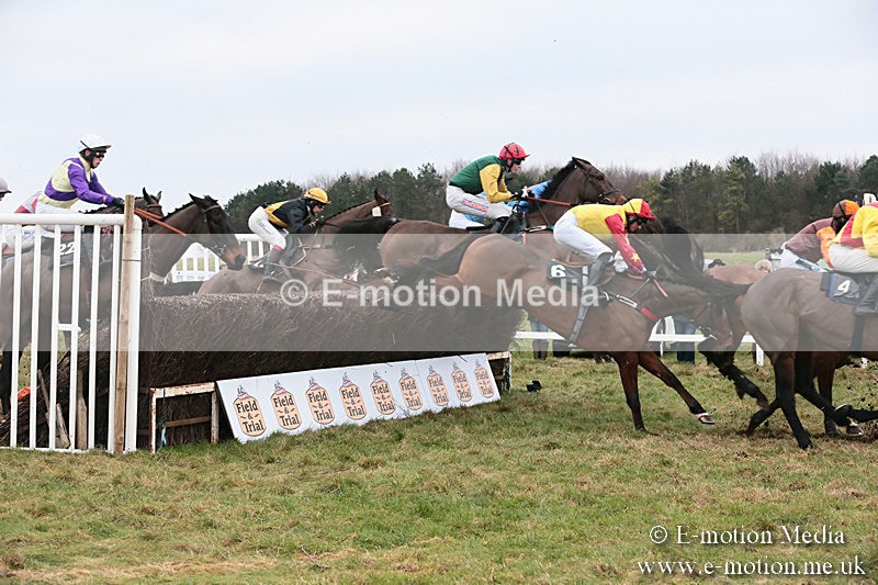 PtP 060119 464 - Larkhill Racing Club - Point-to-Point- 06/01/2019