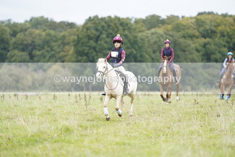 _DSC6936 - Time at Photographer 10:13 to 10:42