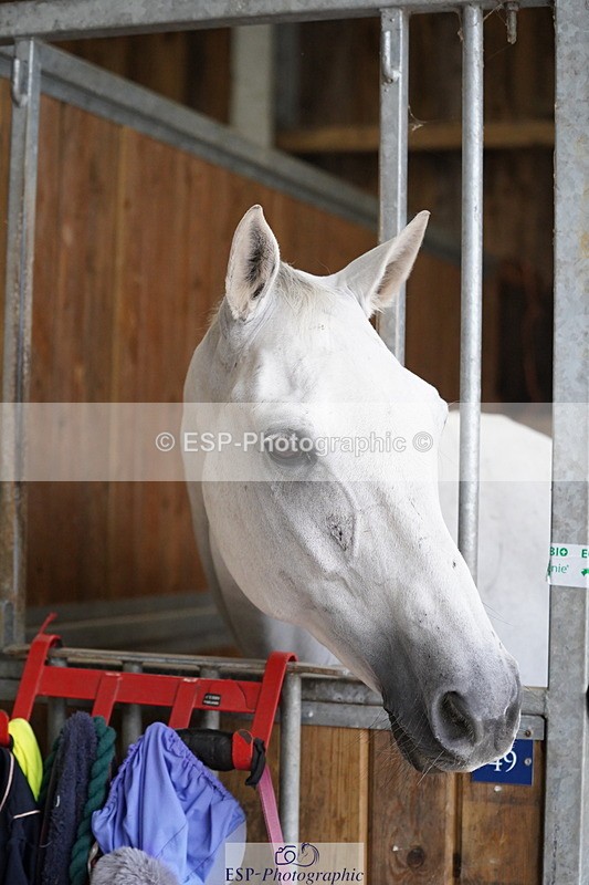 240809A-134634-01013 - Stable Shots