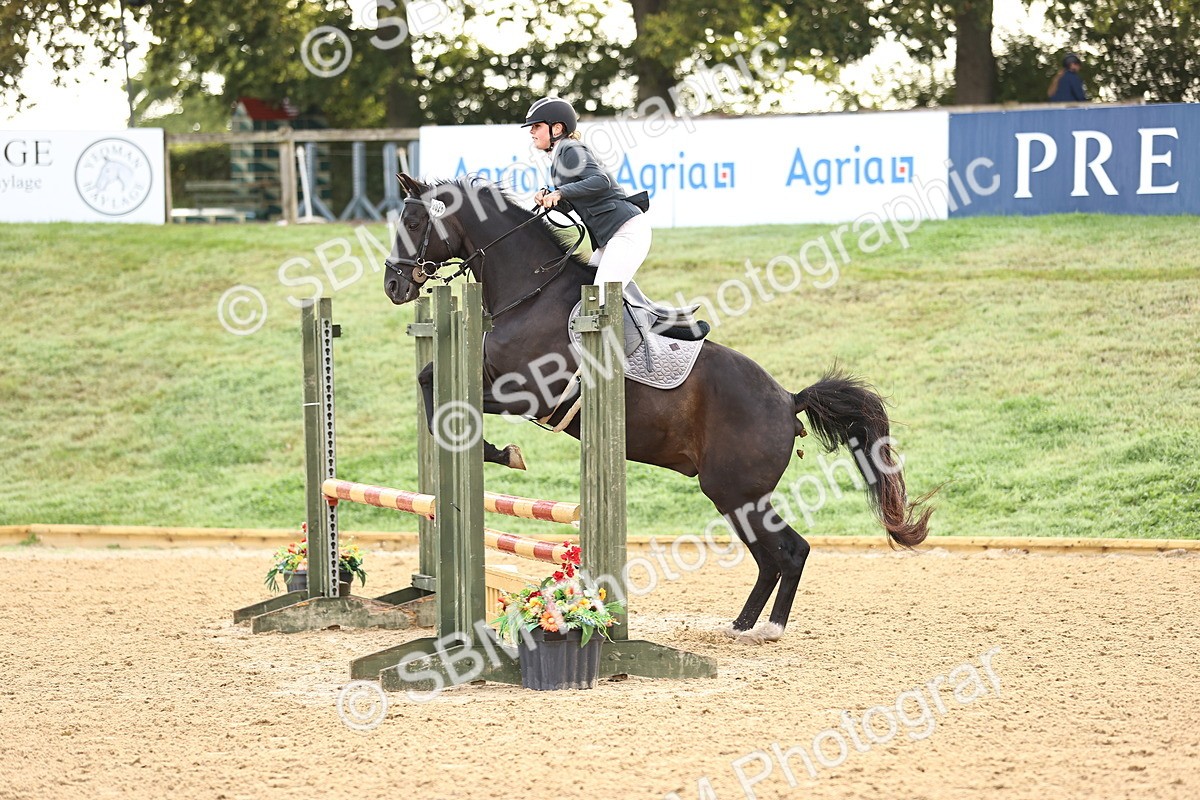 SBM_55144 - J62 - Clear Round 90cm