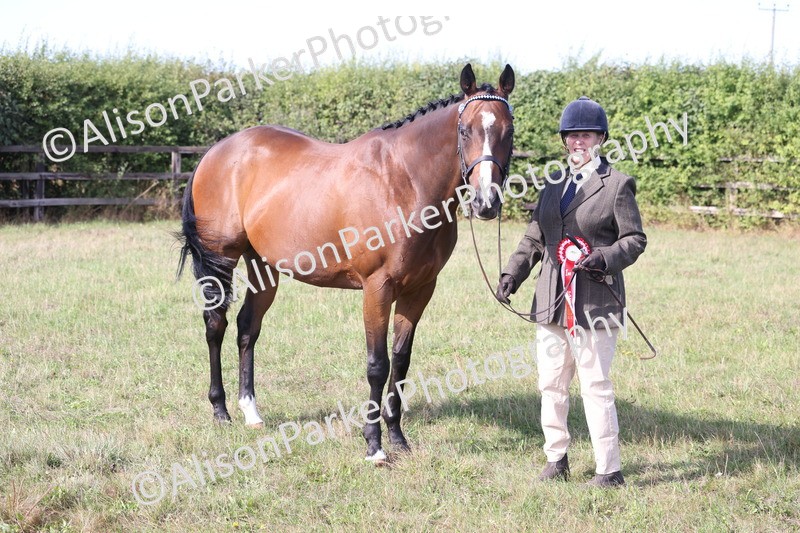 20260906-0714 - Class 22 - Ex Racehorse