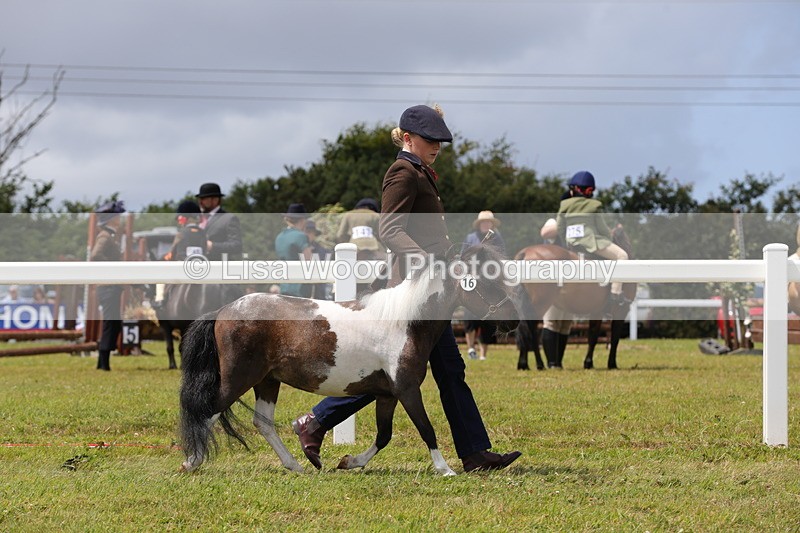 1X9A4781 - Class 35: Veteran In Hand