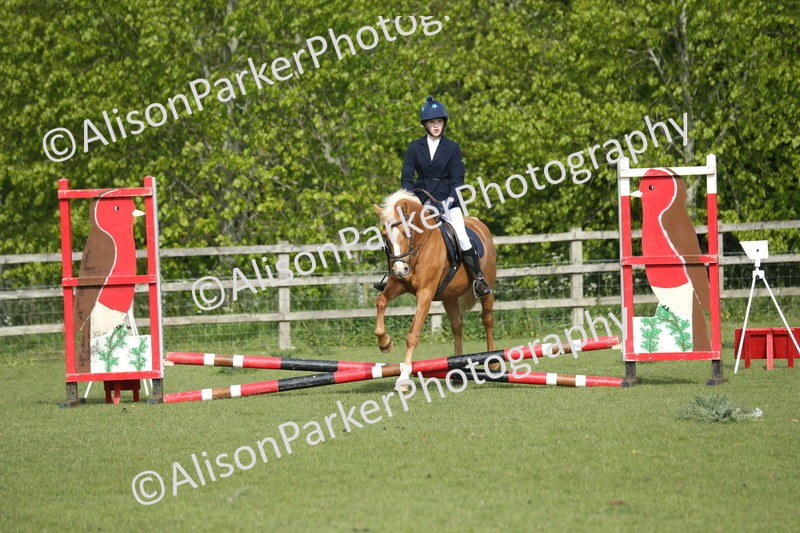 20260426-0144 - Class 13 - Rookie Jumping 50cm
