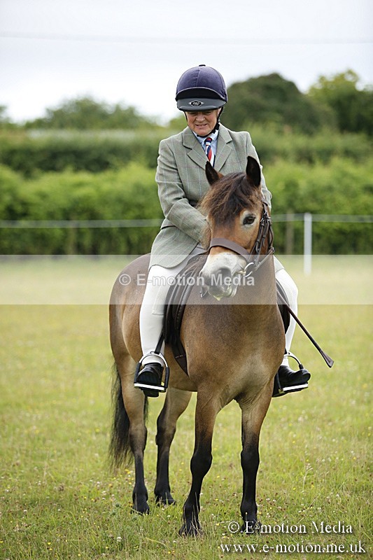 BVR160717-75 - Ring 1 BVRC Show 16/07/17