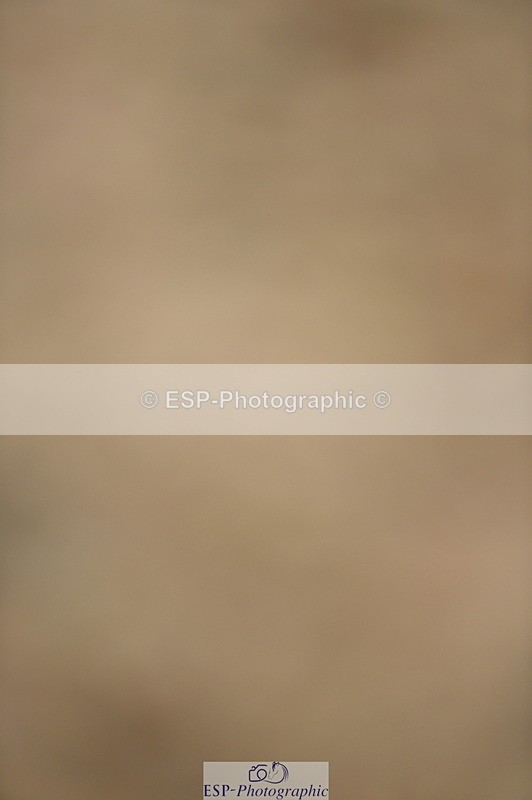 230916A-110510-03606 - Cls 21 British Novice & 90cm Open