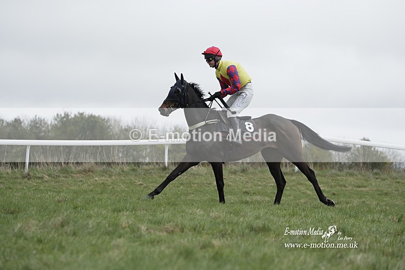 PtP 260323 0698 - New Forest Hounds Point-to-Point Larkhill 26/03/23