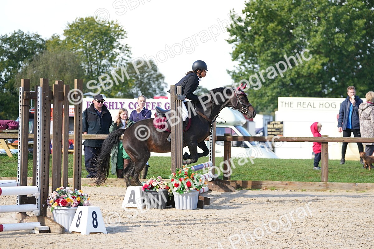 SBM_38265 - J6 - Junior Pony 55cm Championship