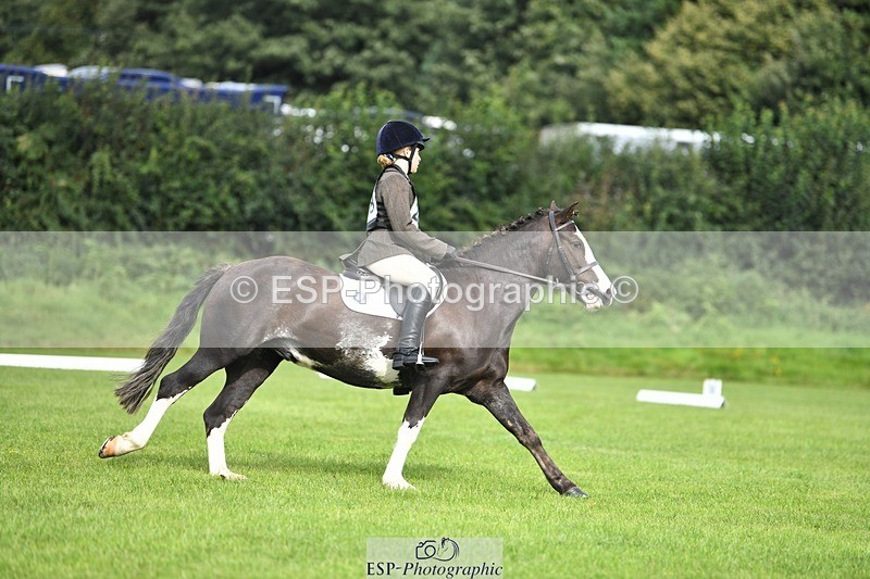 230826-100509-15356 - Sections C & D 9 to 10am