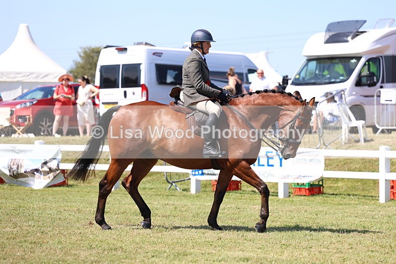 3E7A7485 - Rising Star Ridden Championship
