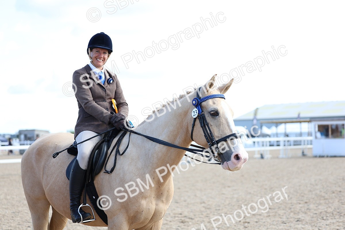 SBM_11249 - Class 306 - Ridden Foreign Breeds - Part Bred