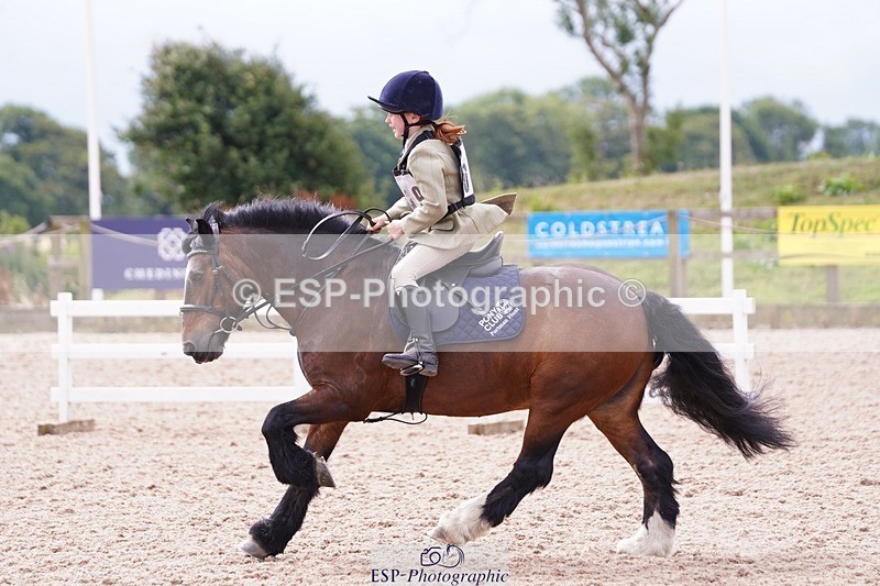 250706-103446-00334 - Cls 02a  40cm Assisted 09-45 to 11.03