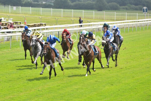 yr10072021r2-9 - Race 2: 2.20pm John Smith's Silver Cup Stakes