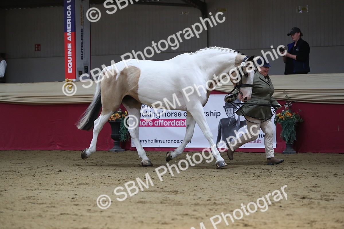 SBM_01285 - Class 3a Area IH Pre Vet