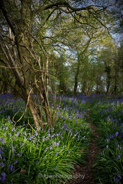 Evening light - Gallery 8