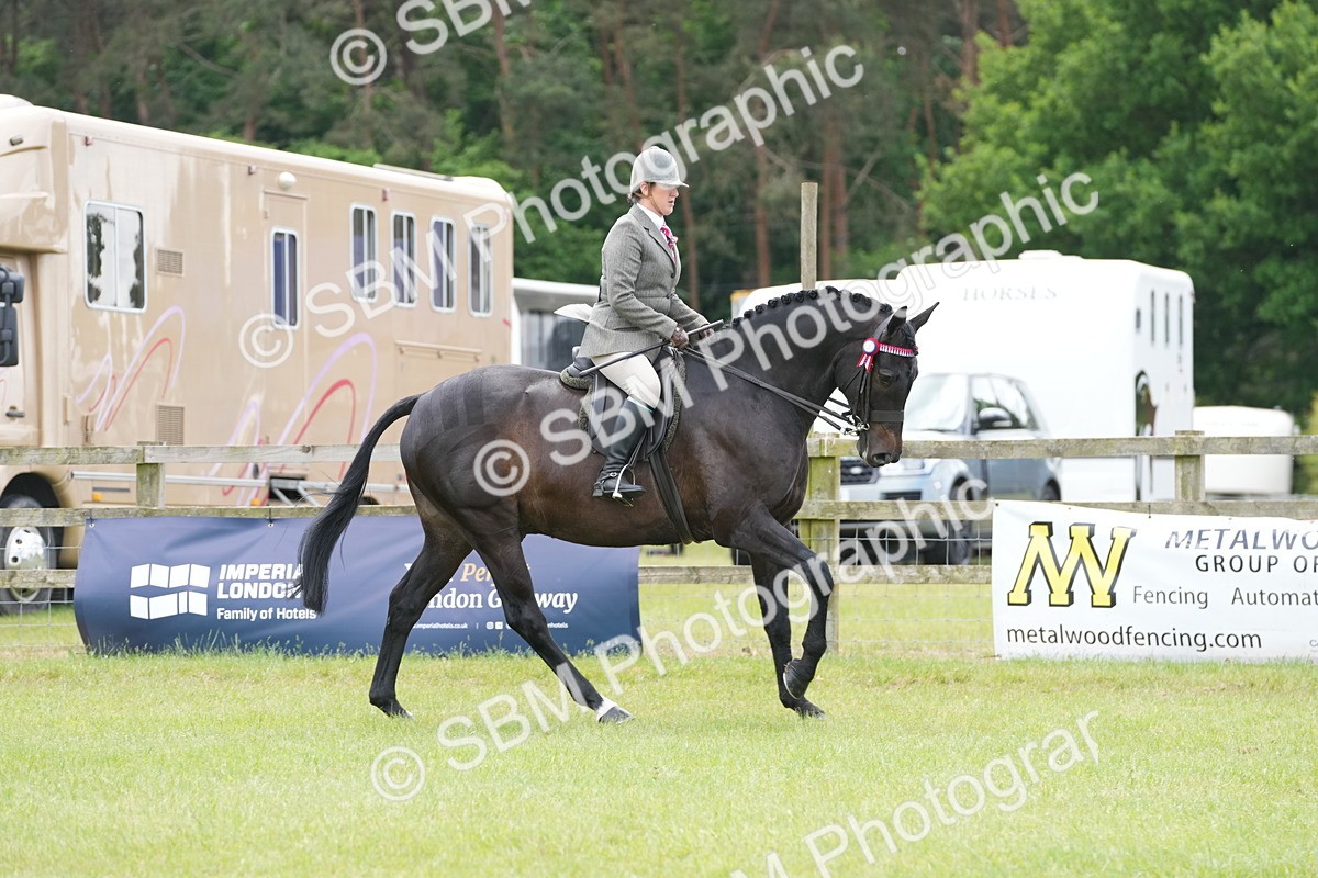SBM_16159 - Class 105-106 - RIHS Riding Horses