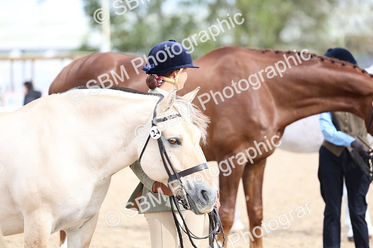 SBM_03978 - Class 25 - IH Foreign Breeds - Pure Bred
