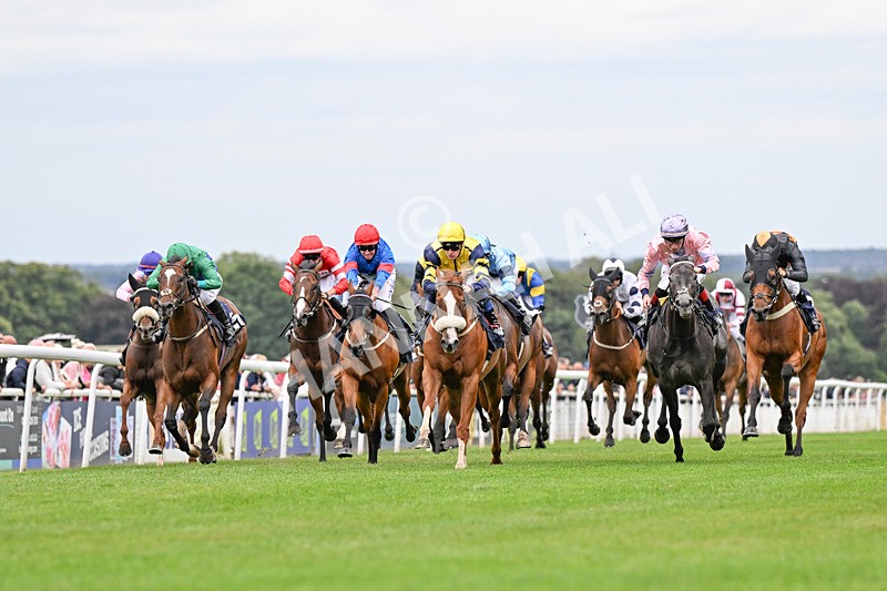 150824-Race 6-Captain Corelli-4426 - Race 6