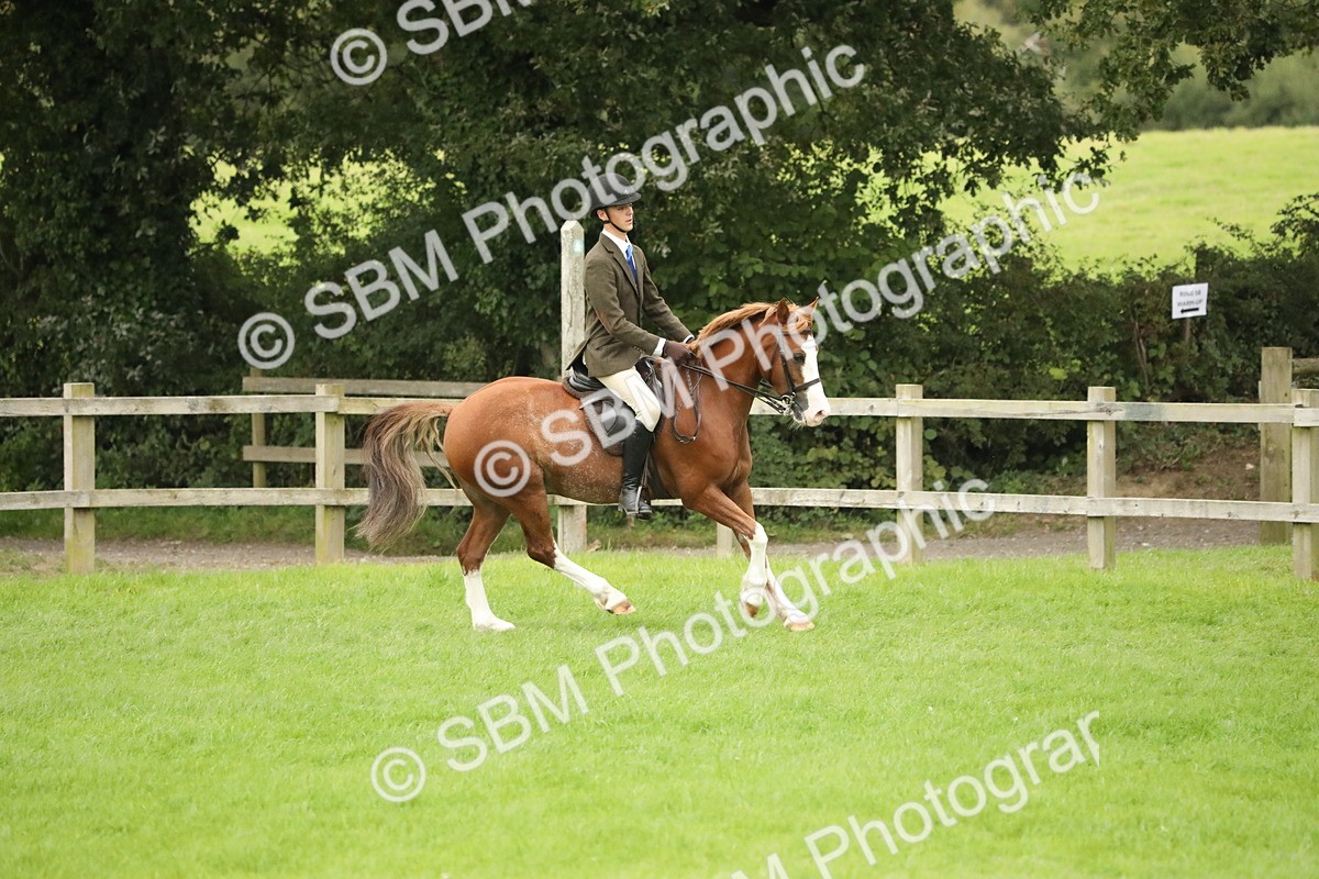 SBM_73792 - S41 - Ridden Equitation (Best Rider)