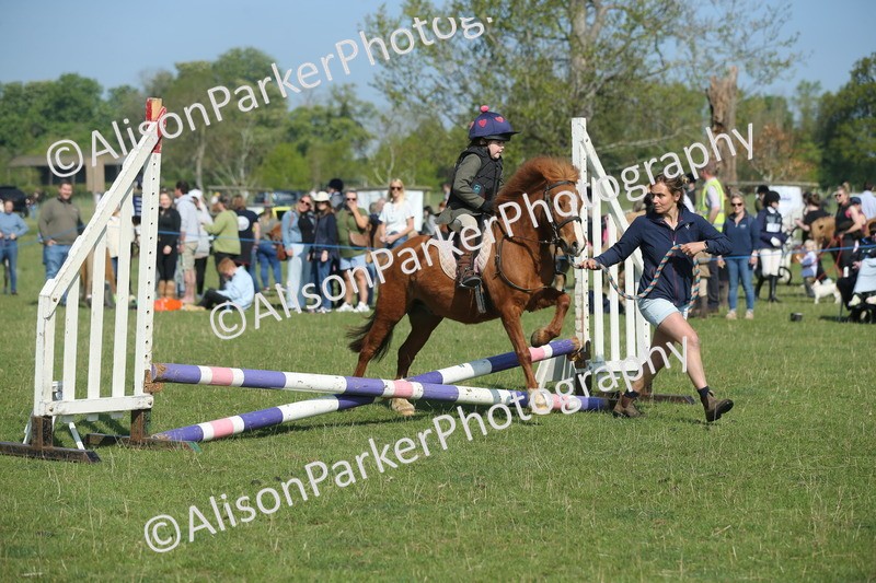 20250427-0972 - Class 1 - Mini Jumping Lead Rein or Assisted