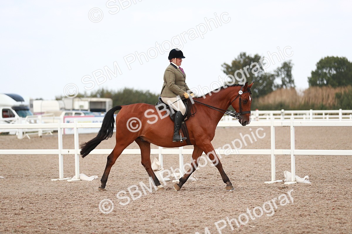 SBM_15483 - Class 213 Ridden Hunter -Large