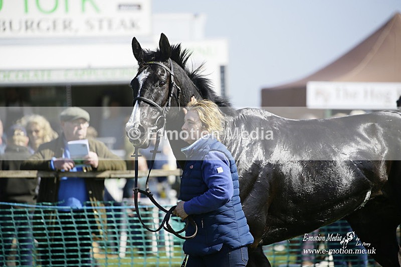 PtP 190322 434 - Wilton Hunt PtP Milborne St Andrew 19/03/22